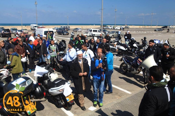 iste3dadat3j (10).jpg